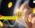 cryptopronetwork.com