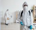 Mosquito control service