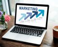 Organic Traffic For Business