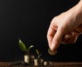 Small Cap Mutual Funds