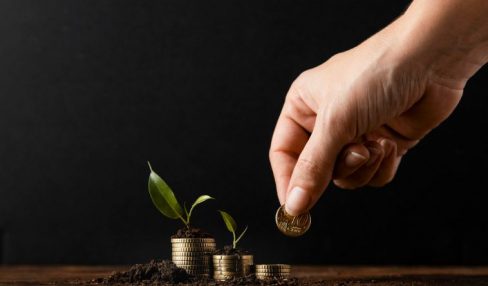 Small Cap Mutual Funds