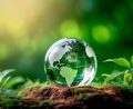Sustainable Food Business