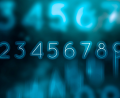 Business Virtual Phone Numbers