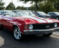 Car Protection Plans