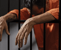 wildlife violations penalties